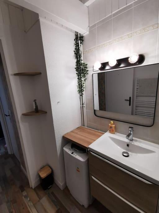 Les Pins Dans L'eau Apartment Carcans
